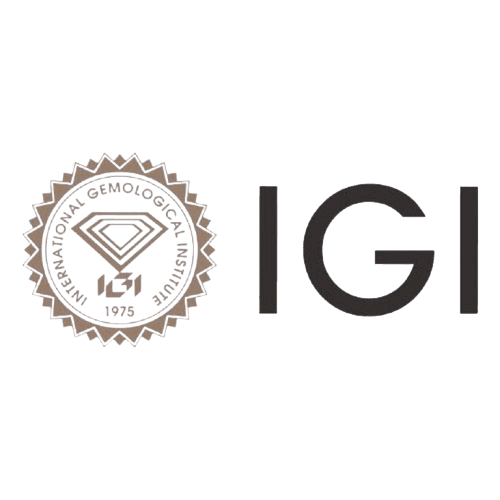igi logo